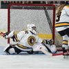 35goaliehockey