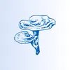 themooshroomshop