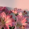 xoxoggirl7