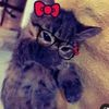 cutiepotutie20141