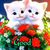 user7184534608707
