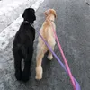 duury.molly