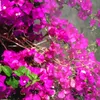 lynna8926