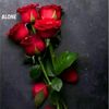 binod.chaudhary9686