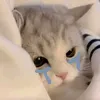 nhin.gi29