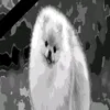 pu_nc_hofan_ger