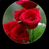 user5947816110651