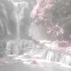 sofi_sofi0003