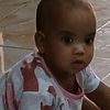ali.elemam76