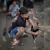Kiên Nhỏ 🐉