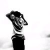 tcxxie3.5