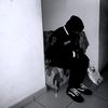 lacoondsh1