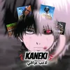 u__v206