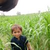 manoj03441704438