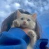alwaysonline_04