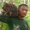 haryadi7668