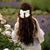 rajpoot_queen12350