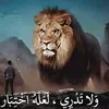 abdo79730