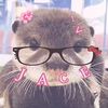 adopt.me.lover156