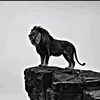 alal40_