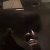 e___________g01