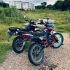 elegan423