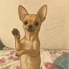 jade_pinscherr