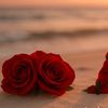 saud.al.fhad