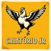 criatorio.jr03