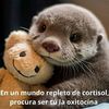 rubi82354