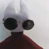 conteúdo