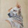 Kaeti • Pet Portrait Artist
