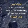 user4421293404051