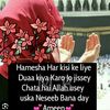 najma.pardesi