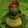 ijul_kece
