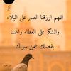 user6313291024301