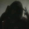 beevf5