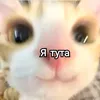 tvoi_humorist