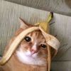 bananabananana00