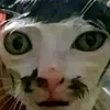 loongmu72