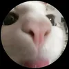 wspbreh