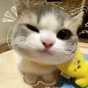 xkuogw