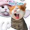 pov_cats6