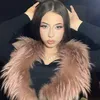 alina_brando