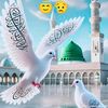 mahmudmahmud844
