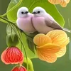 binh.yn727
