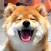 baby.dog666