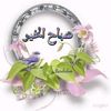 hamidouguine0