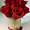 halima.halima.25