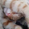 chgfghcczxczx